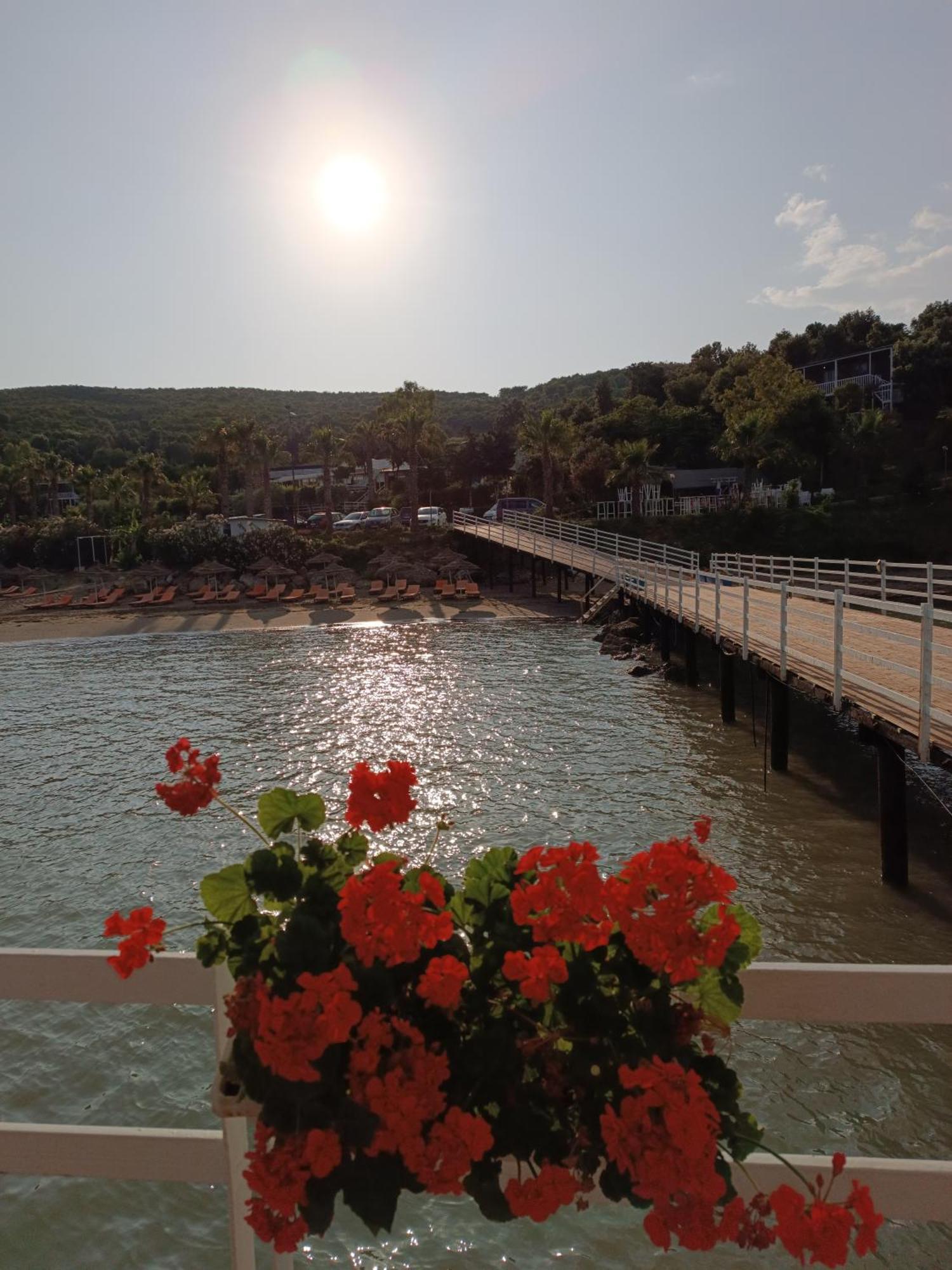 Plazhi Gjeneralit - Small Cabins - Bungalows - Apartaments - Villas - Suite Kavaje Exterior foto